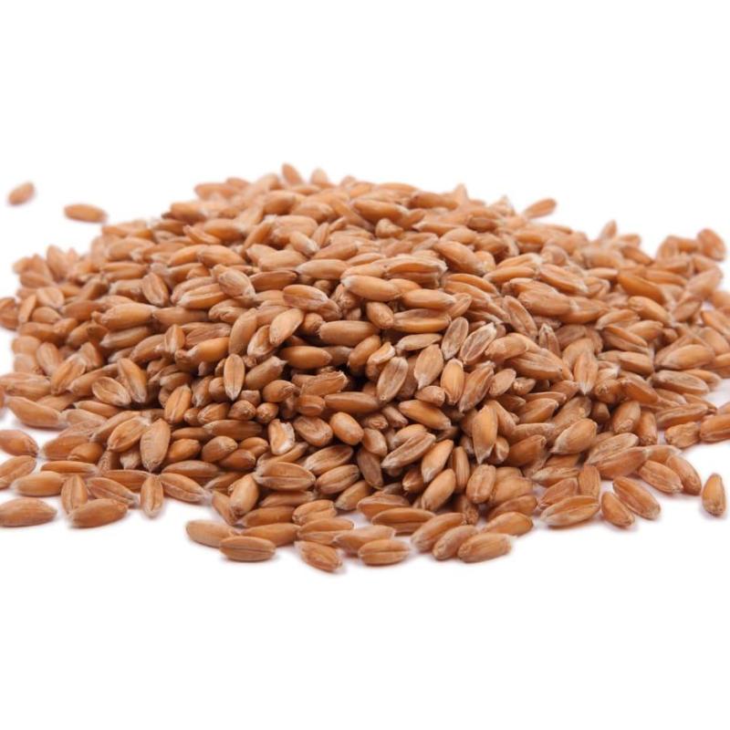 Farro Perlato