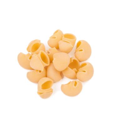 Conchiglioni